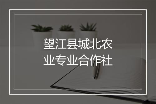 望江县城北农业专业合作社