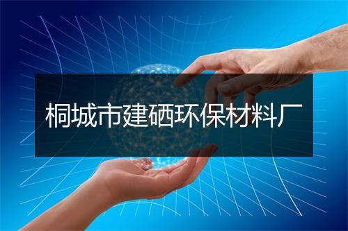 桐城市建硒环保材料厂