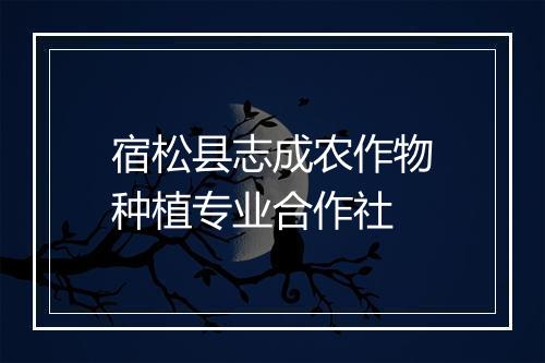宿松县志成农作物种植专业合作社