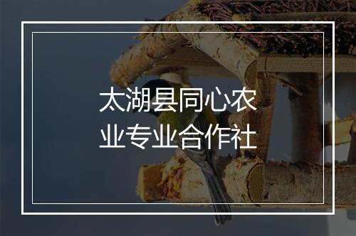 太湖县同心农业专业合作社