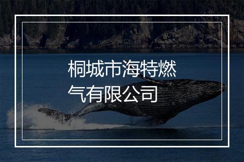 桐城市海特燃气有限公司