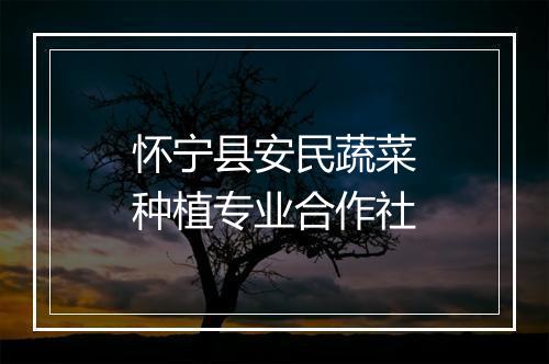 怀宁县安民蔬菜种植专业合作社