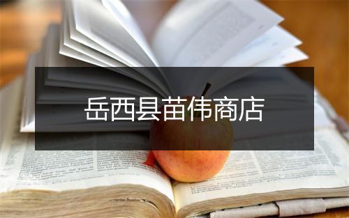 岳西县苗伟商店