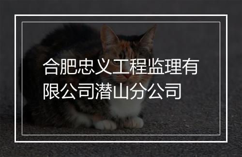 合肥忠义工程监理有限公司潜山分公司