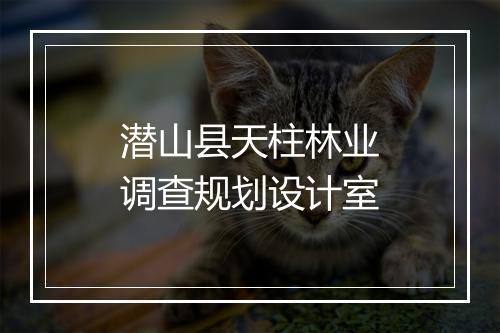 潜山县天柱林业调查规划设计室