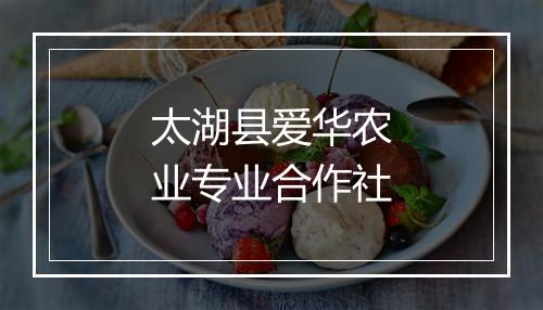 太湖县爱华农业专业合作社