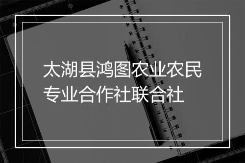 太湖县鸿图农业农民专业合作社联合社