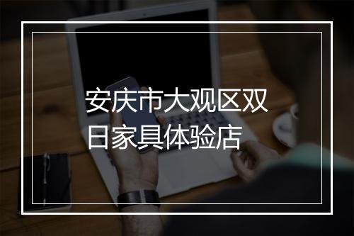 安庆市大观区双日家具体验店