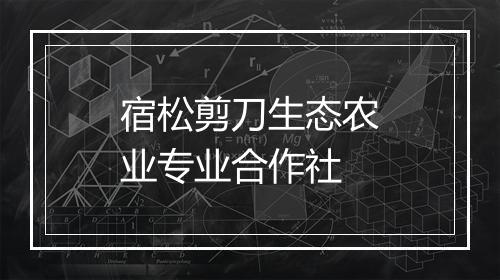 宿松剪刀生态农业专业合作社