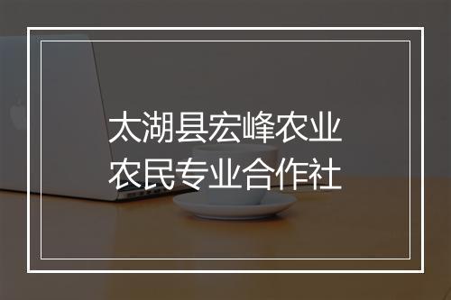 太湖县宏峰农业农民专业合作社