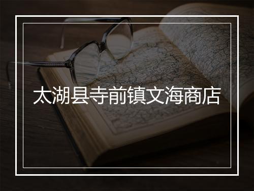 太湖县寺前镇文海商店