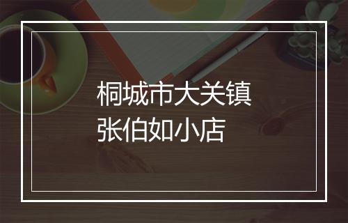 桐城市大关镇张伯如小店