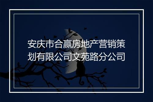 安庆市合赢房地产营销策划有限公司文苑路分公司