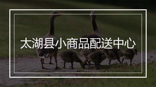 太湖县小商品配送中心