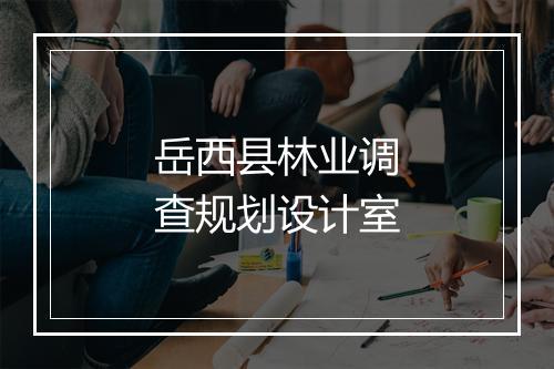 岳西县林业调查规划设计室