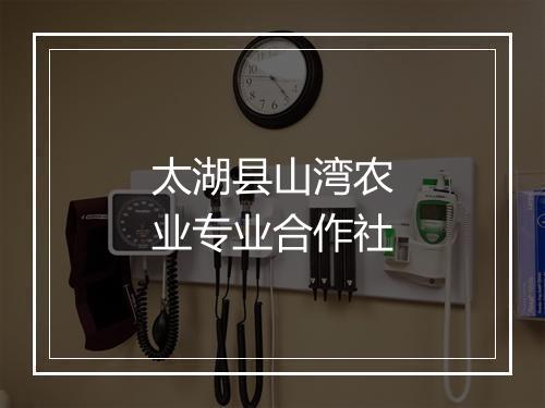 太湖县山湾农业专业合作社