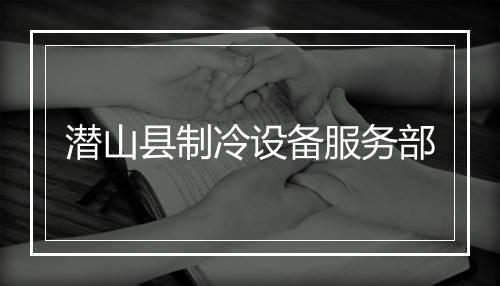 潜山县制冷设备服务部