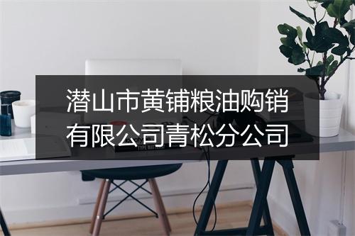 潜山市黄铺粮油购销有限公司青松分公司