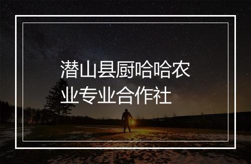 潜山县厨哈哈农业专业合作社
