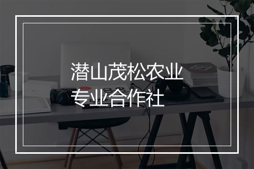 潜山茂松农业专业合作社