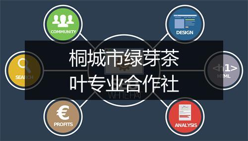桐城市绿芽茶叶专业合作社