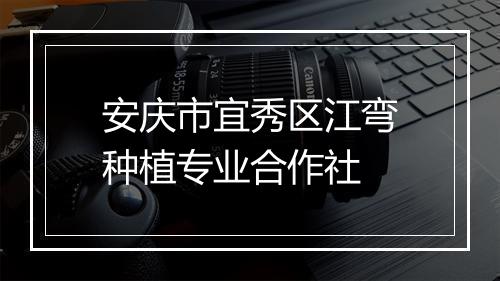 安庆市宜秀区江弯种植专业合作社