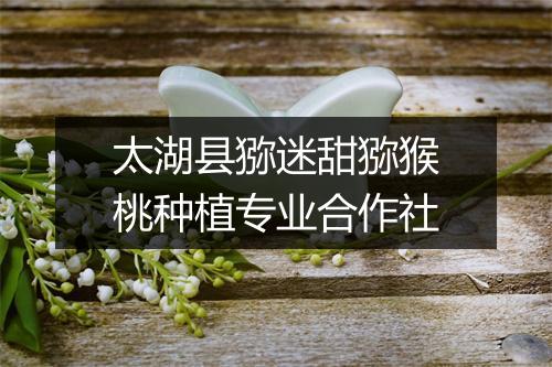 太湖县猕迷甜猕猴桃种植专业合作社