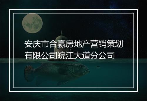 安庆市合赢房地产营销策划有限公司皖江大道分公司