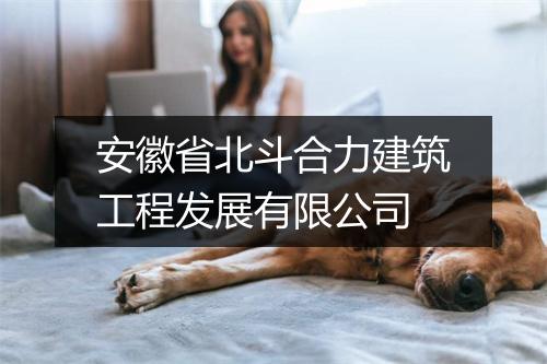 安徽省北斗合力建筑工程发展有限公司