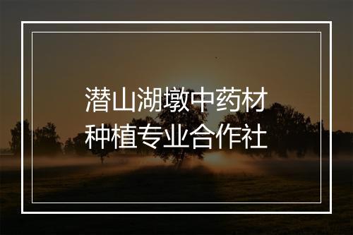 潜山湖墩中药材种植专业合作社