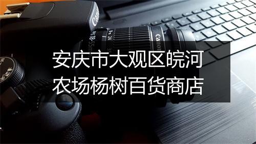 安庆市大观区皖河农场杨树百货商店