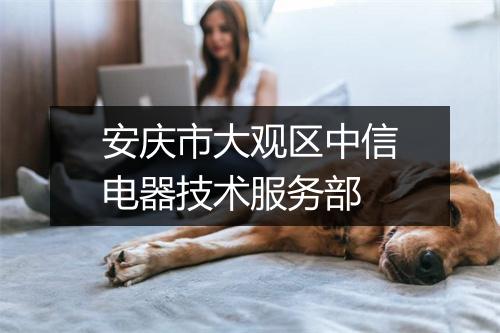 安庆市大观区中信电器技术服务部
