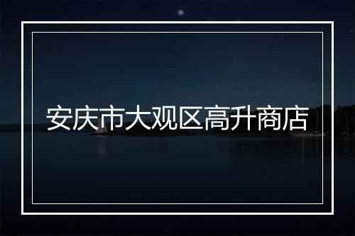 安庆市大观区高升商店