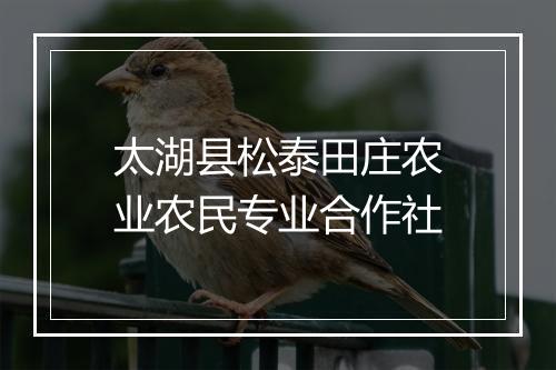 太湖县松泰田庄农业农民专业合作社