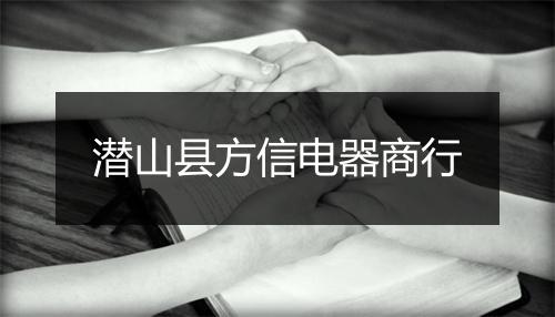潜山县方信电器商行