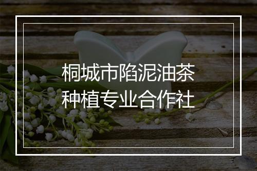 桐城市陷泥油茶种植专业合作社