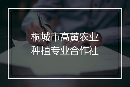 桐城市高黄农业种植专业合作社