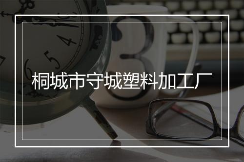 桐城市守城塑料加工厂