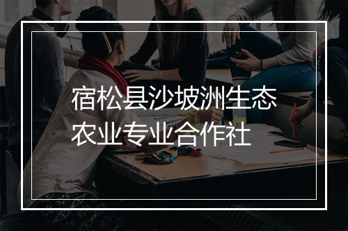 宿松县沙坡洲生态农业专业合作社
