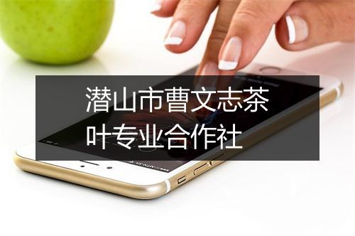 潜山市曹文志茶叶专业合作社
