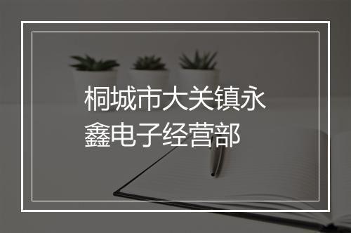 桐城市大关镇永鑫电子经营部