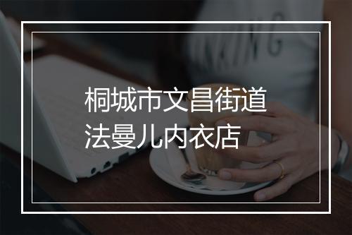 桐城市文昌街道法曼儿内衣店