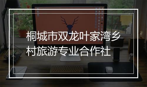 桐城市双龙叶家湾乡村旅游专业合作社