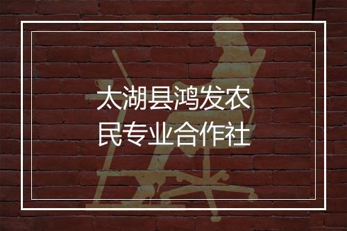 太湖县鸿发农民专业合作社