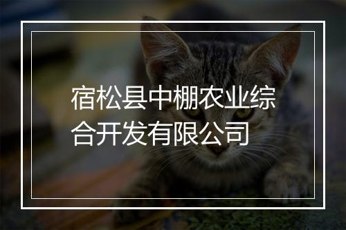 宿松县中棚农业综合开发有限公司