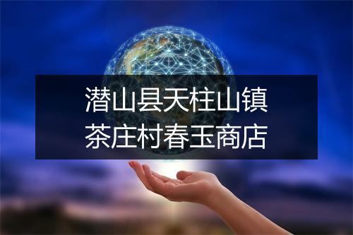 潜山县天柱山镇茶庄村春玉商店