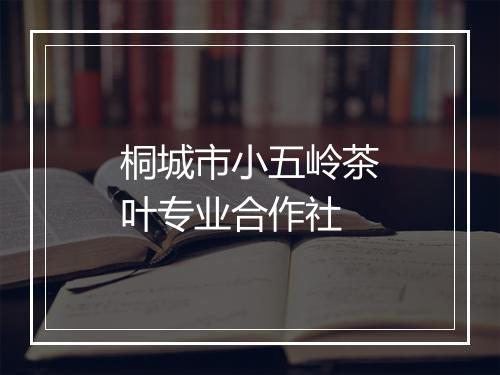 桐城市小五岭茶叶专业合作社