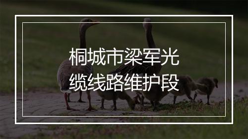 桐城市梁军光缆线路维护段