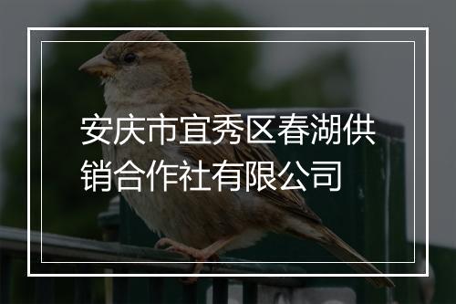 安庆市宜秀区春湖供销合作社有限公司