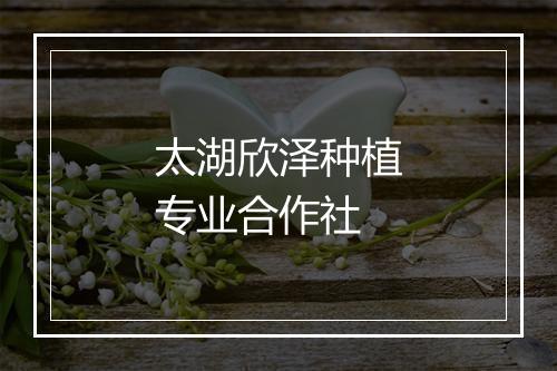 太湖欣泽种植专业合作社